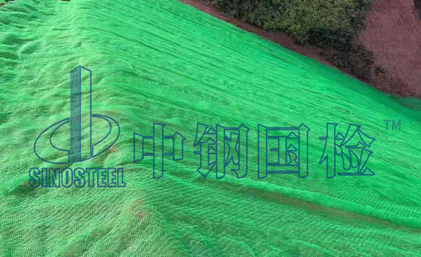 三維植被網檢測