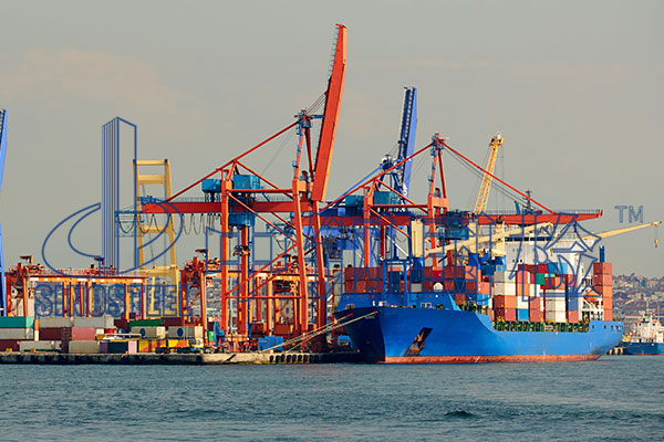 起重機(jī)檢測(cè)