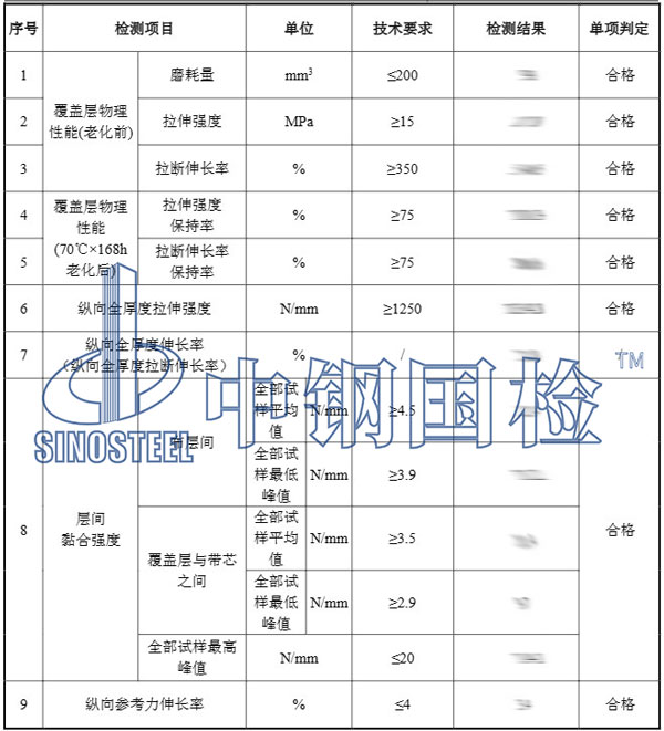 傳送帶檢測項目結(jié)果