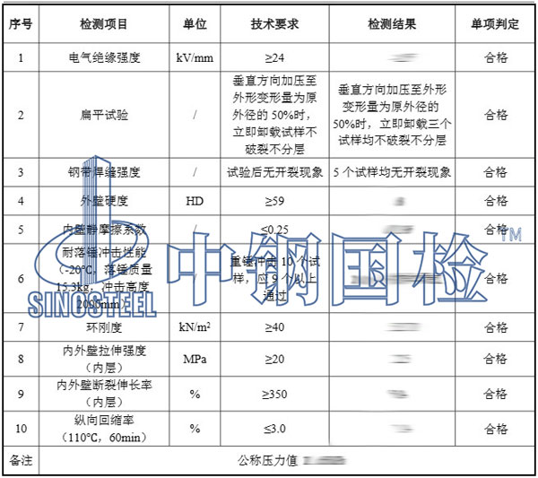 壓力管檢測項目結果