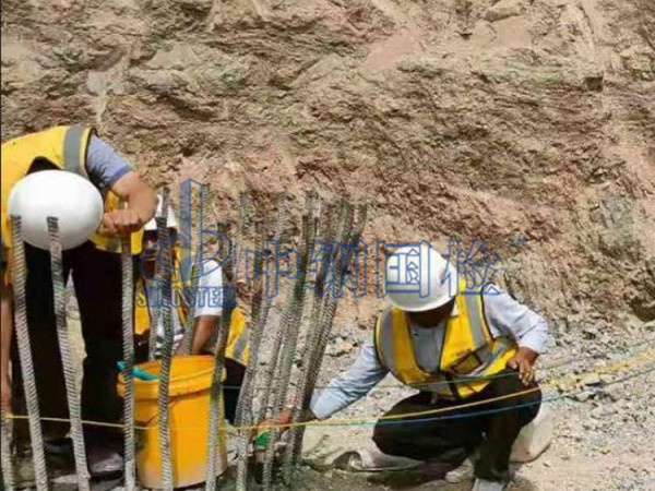 灌注樁現(xiàn)場檢測