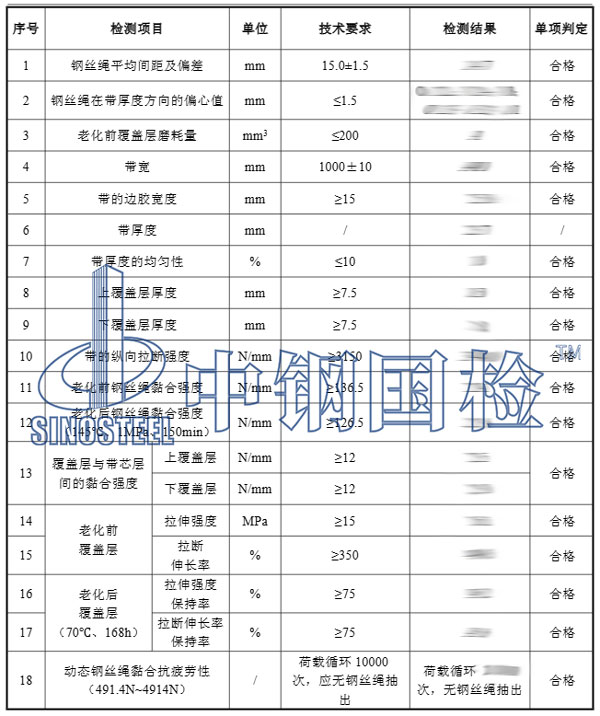 鋼絲繩芯輸送帶檢測項目結果