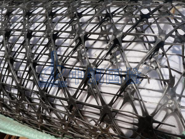 三向土工格柵檢測樣品圖