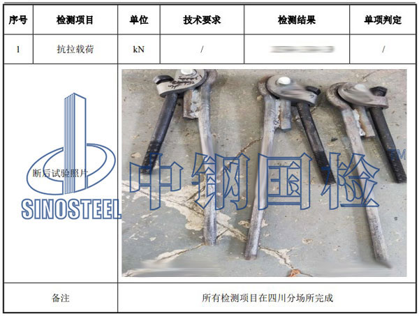 吊環檢測項目結果