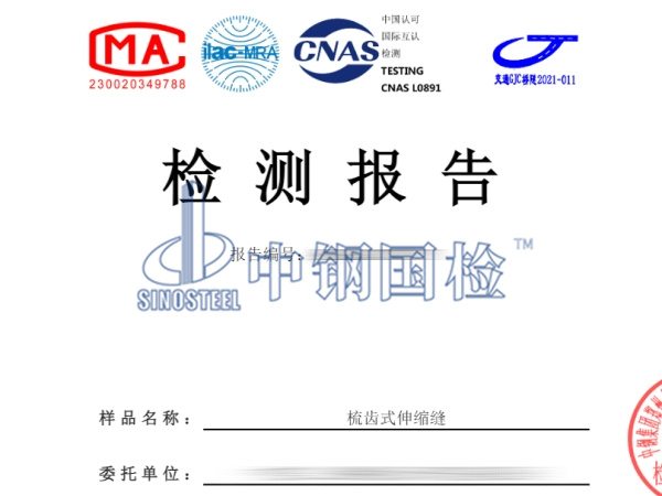 梳齒式伸縮縫檢測報告