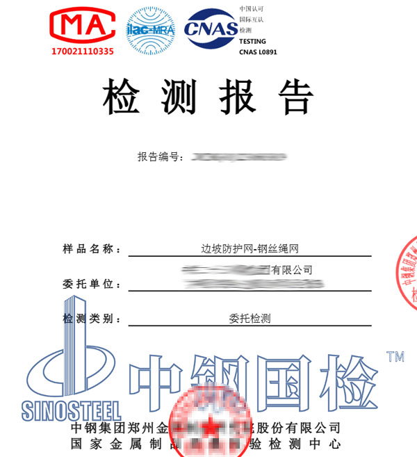 邊坡防護網檢測報告