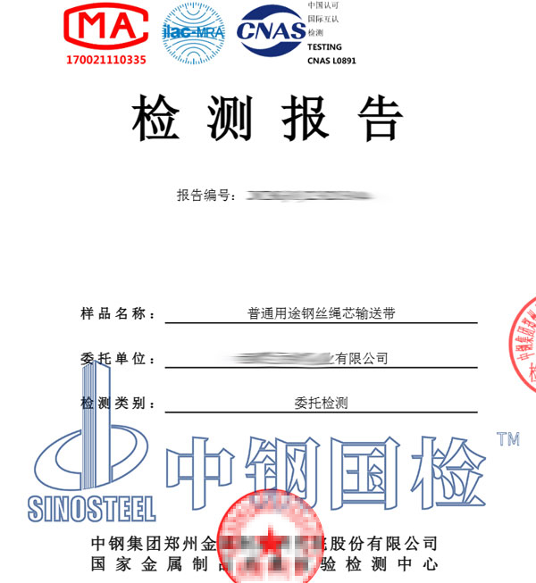鋼絲繩芯輸送帶檢測報告