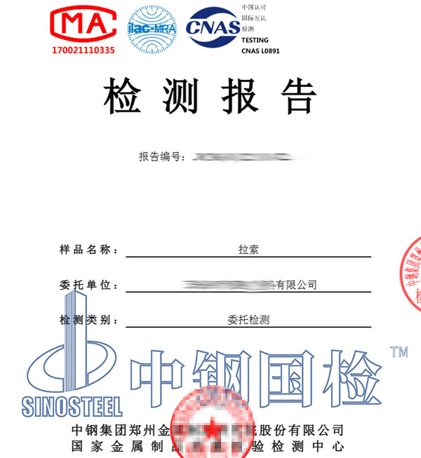 拉索檢測(cè)報(bào)告