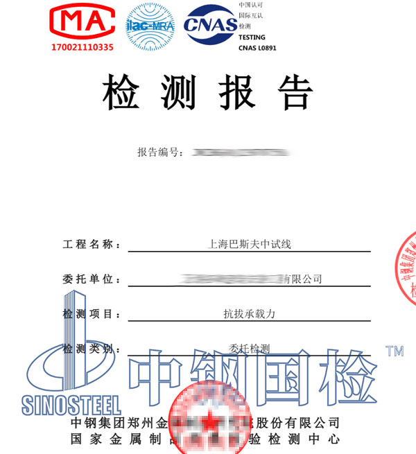 化學錨栓檢測報告圖片