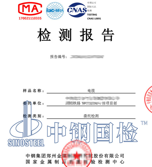 阻燃測試報告圖片