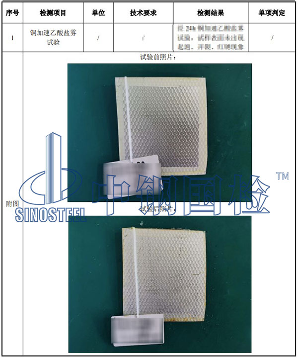 乙酸鹽霧試驗檢測項目結果