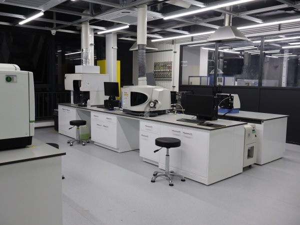 聚乙烯樹脂含量檢測(聚合物成分分析)