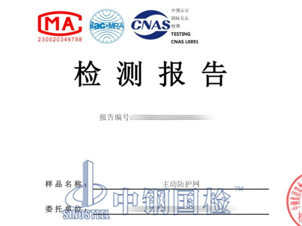 主動防護網檢測報告