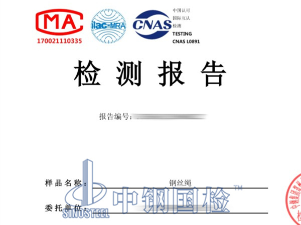 鋼絲繩拉力檢測報告