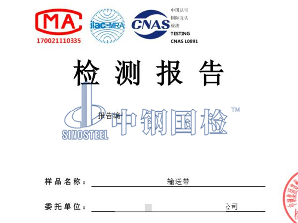 輸送帶檢測報告圖