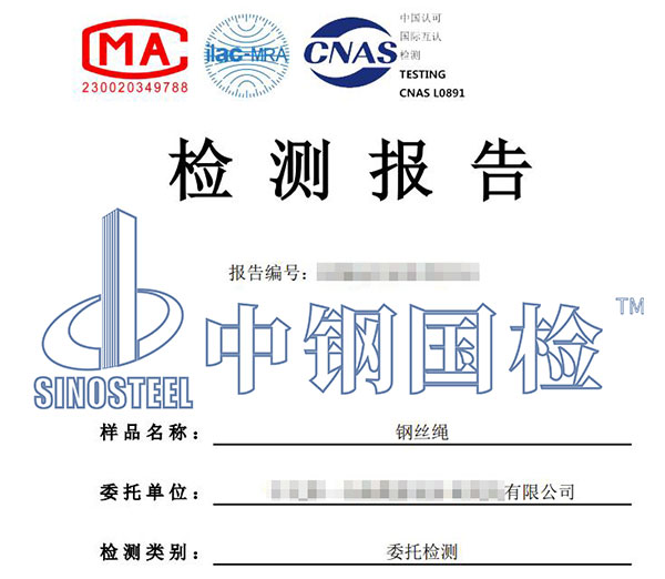 鋼絲繩檢測報告