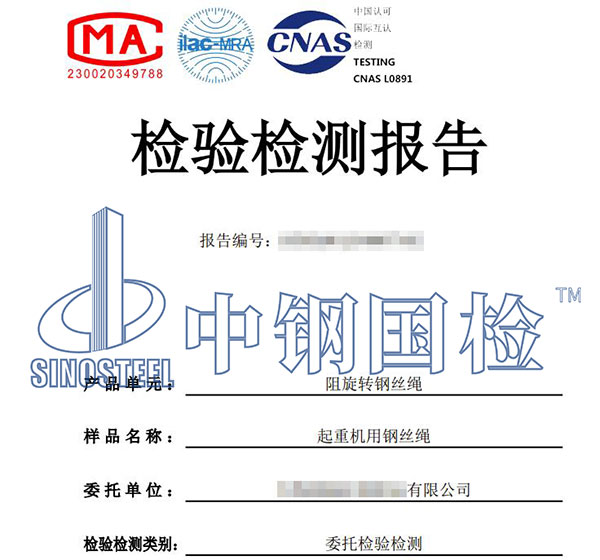 起重機(jī)吊具檢測報告