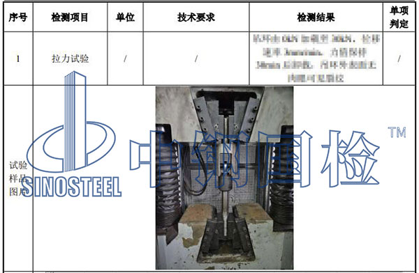 吊環檢測項目結果